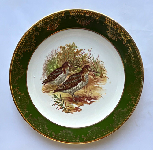 Royal falcon ware bird snipes - falcon,