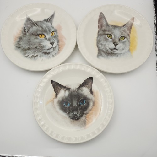 Vintage royal falcon - ware, cat
